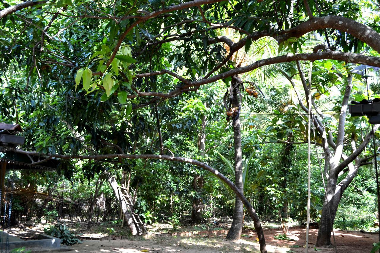 Sigiriya Freedom Lodge Dambulla Exterior foto