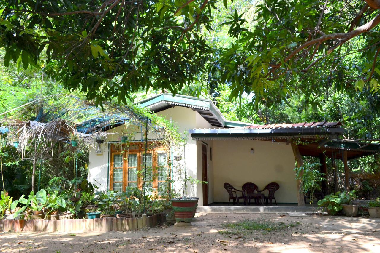 Sigiriya Freedom Lodge Dambulla Exterior foto